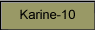Karine-10