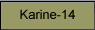 Karine-14