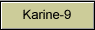 Karine-9