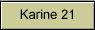 Karine 21