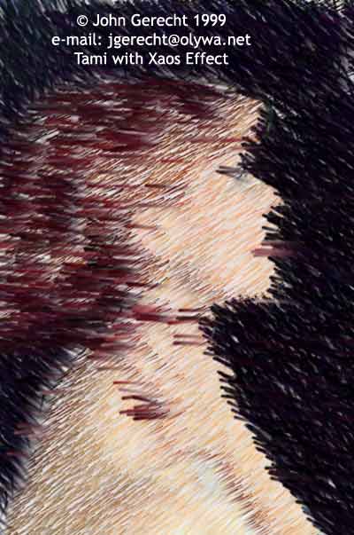 Tami Colored Pencil Effect