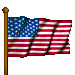 Relay For Life_US flag